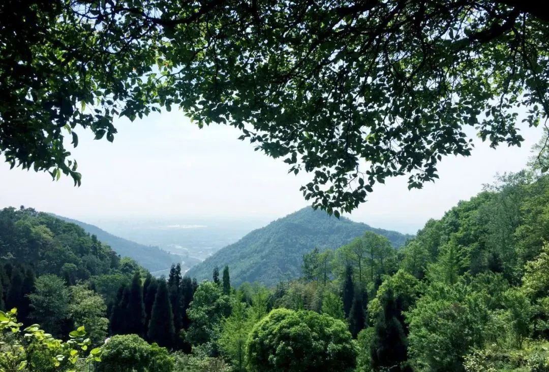 吐血整理！成都市内46个好耍地汇总！玫瑰花海、山景古街全都有