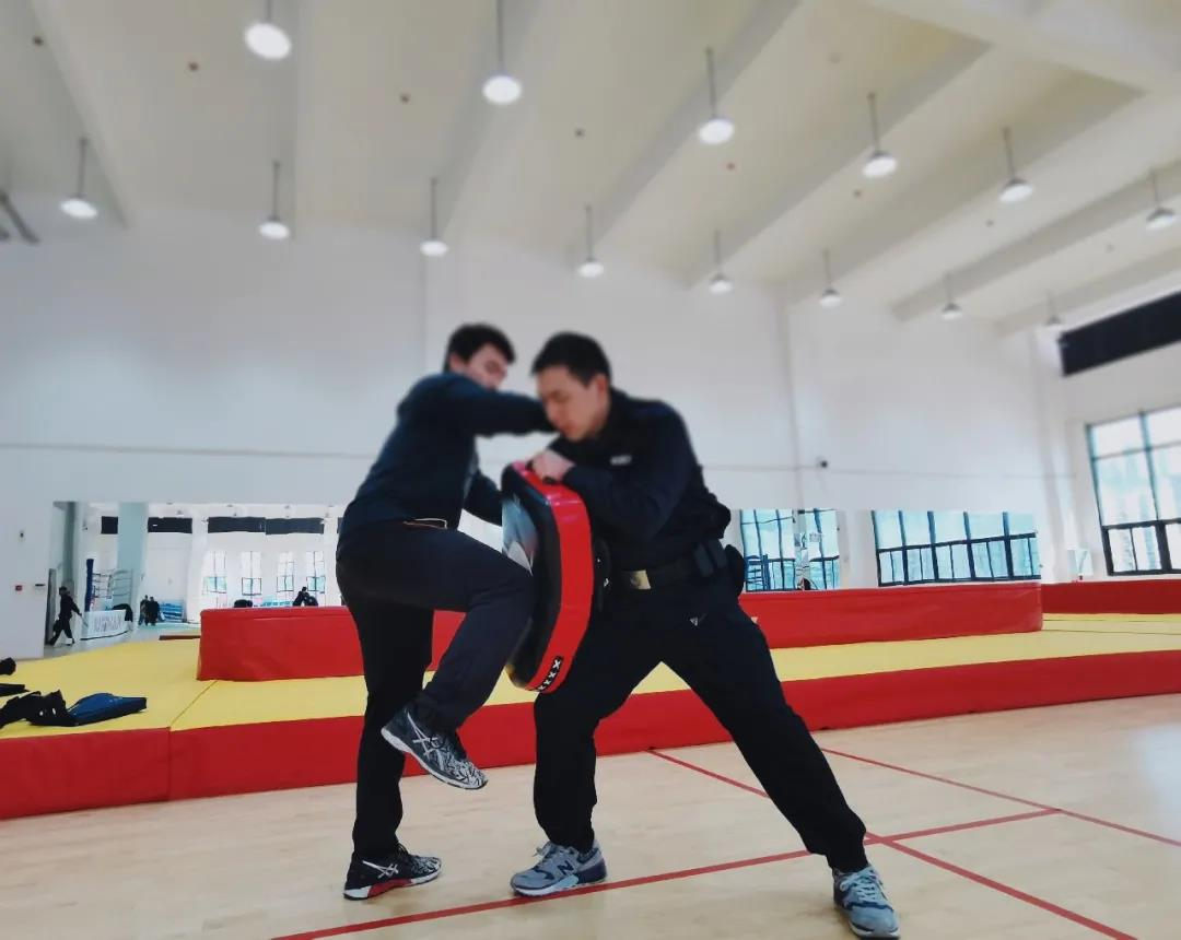 毕业生进入公安机关、人民检察院！西南政法“曝光”又一硬核专业！