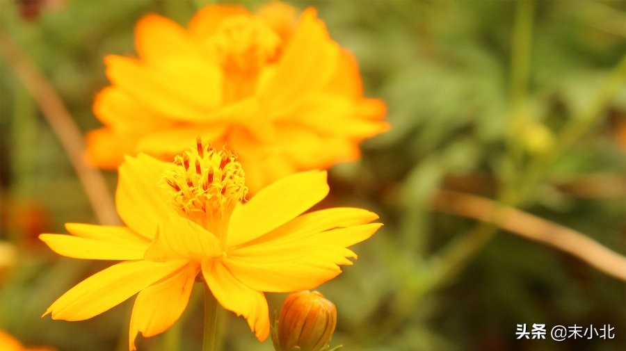 当相爱过的人不再联系时，聪明的女人通常会这样做，希望你也可以