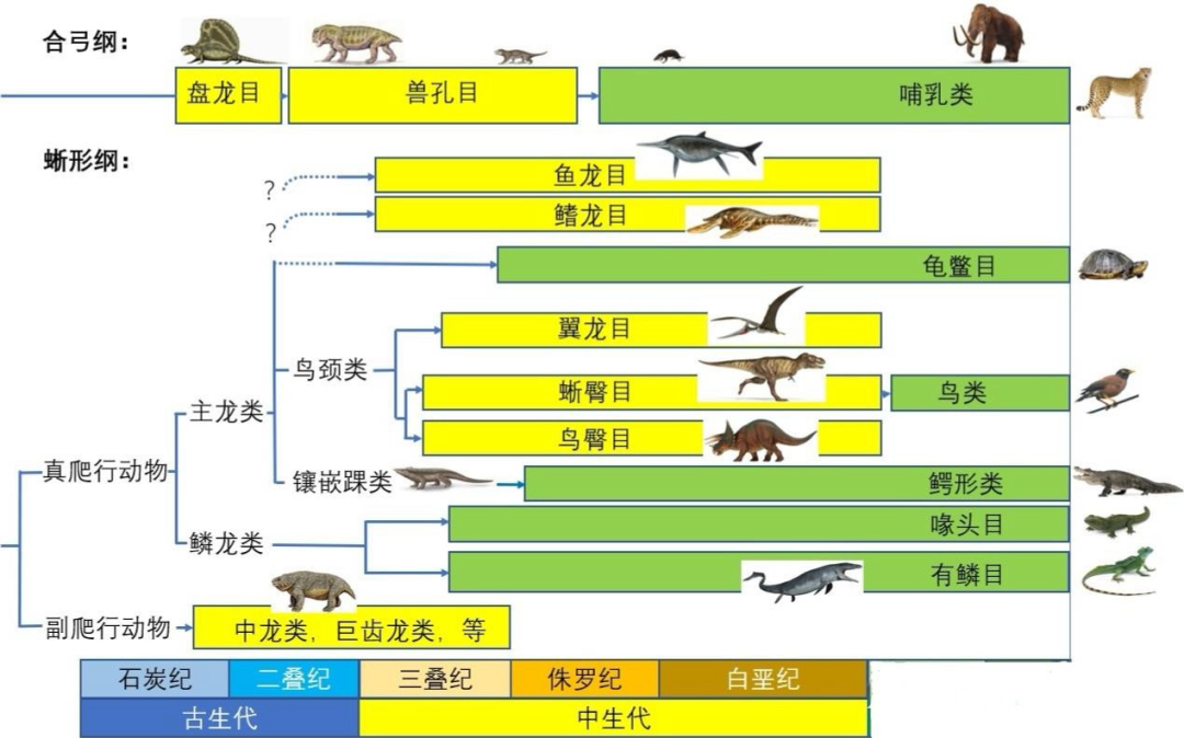 地球2.3亿年前下了场200万年的雨，帮恐龙塑造一亿六千万年霸业