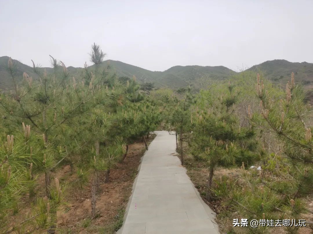 昌平旅游景点（昌平免费景区的环山步道游览推荐）