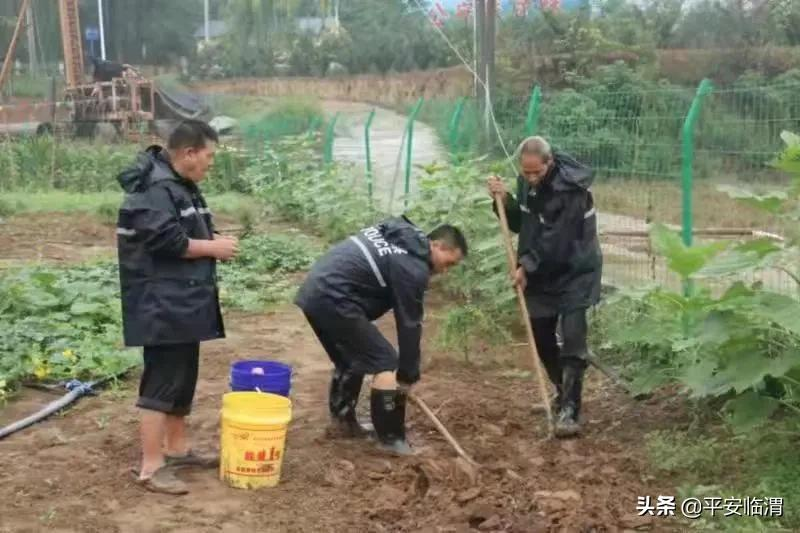 【致敬警察节】一张警服照 一份从警心 晒出最美警服照