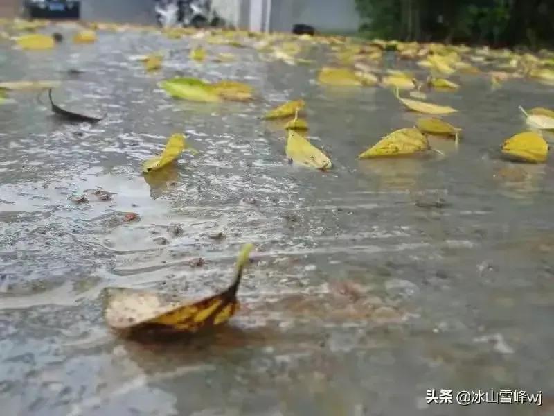 烟如柳诗词三十首（最新2021年12月）