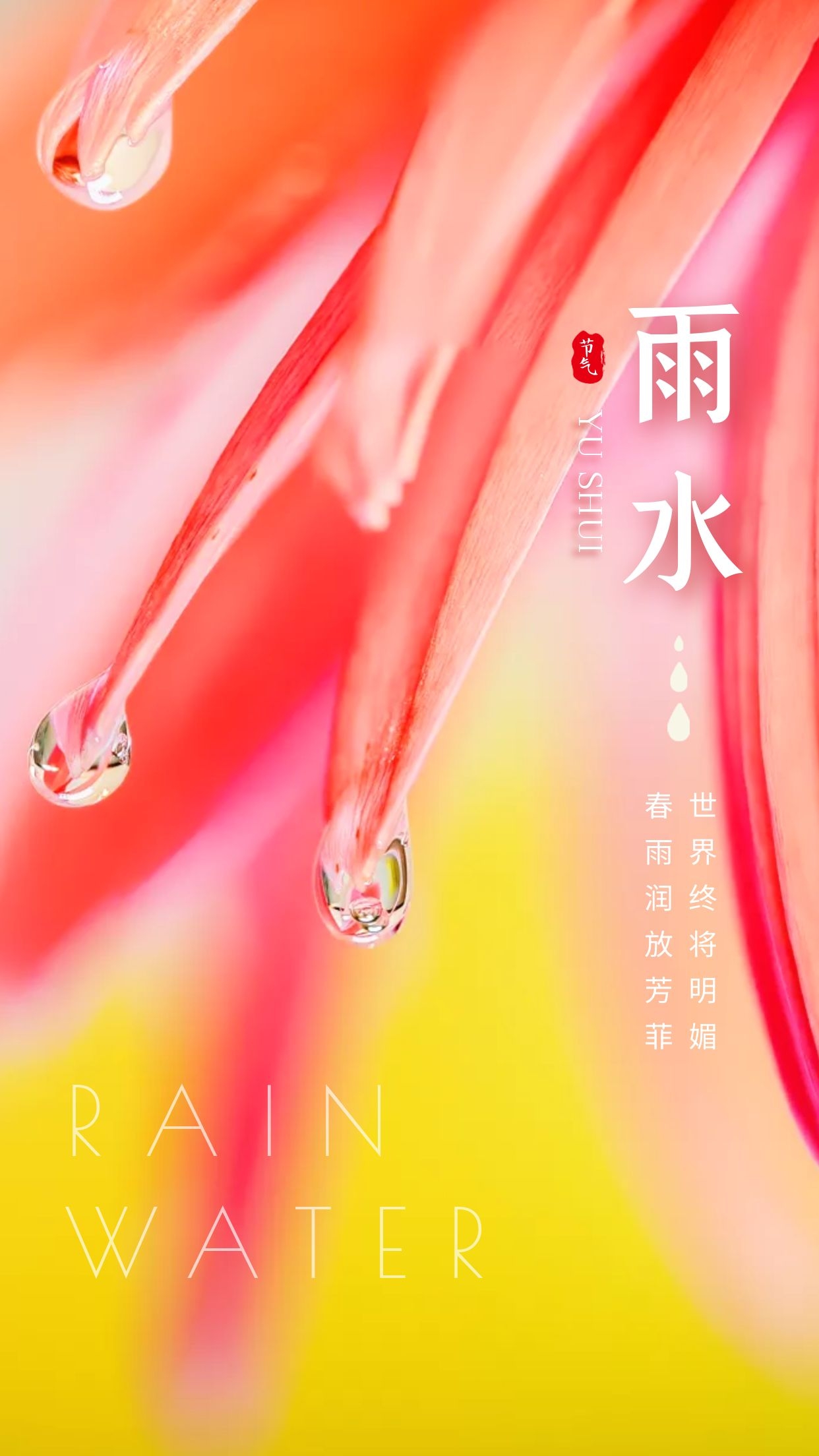 雨水节气图片配图高清唯美大全，雨水文案句子，雨水祝福语问候语