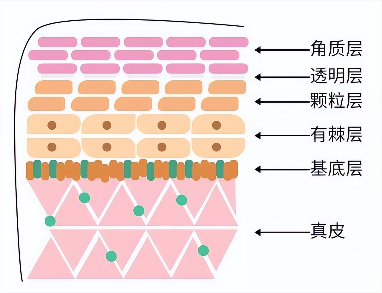 这些护肤小技巧，早知道早受益