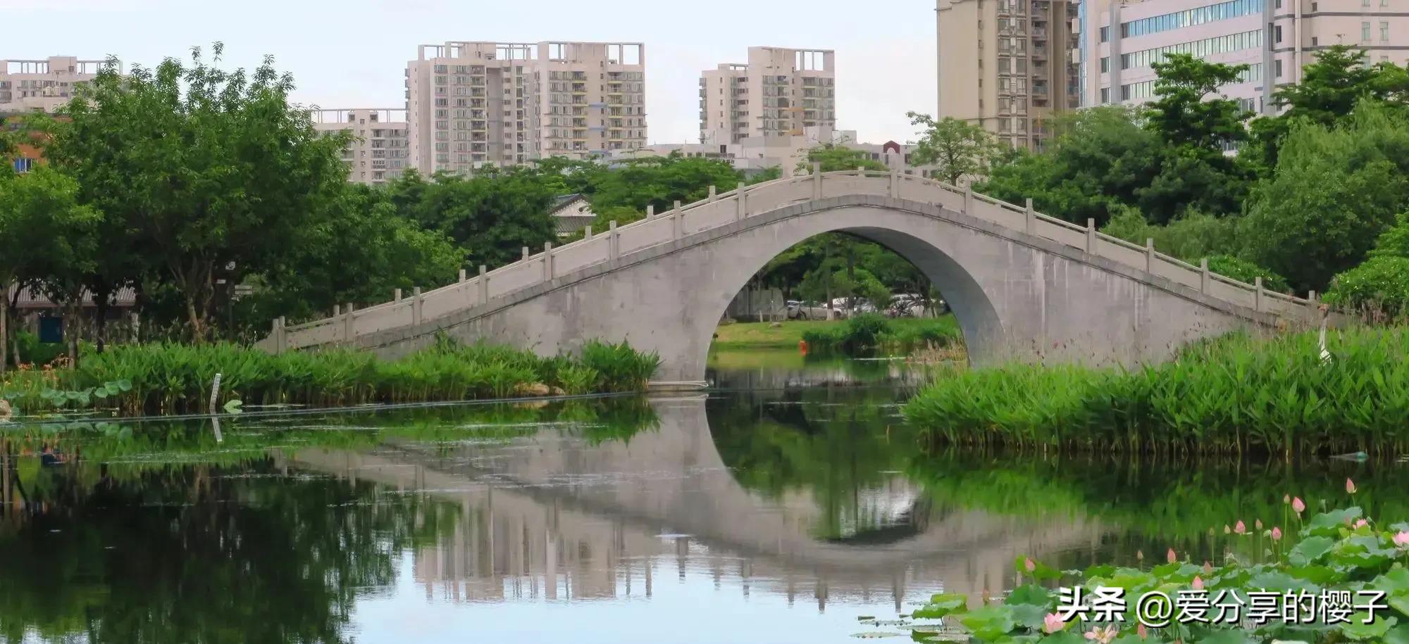 游客的打卡“胜地”—龙津湖公园