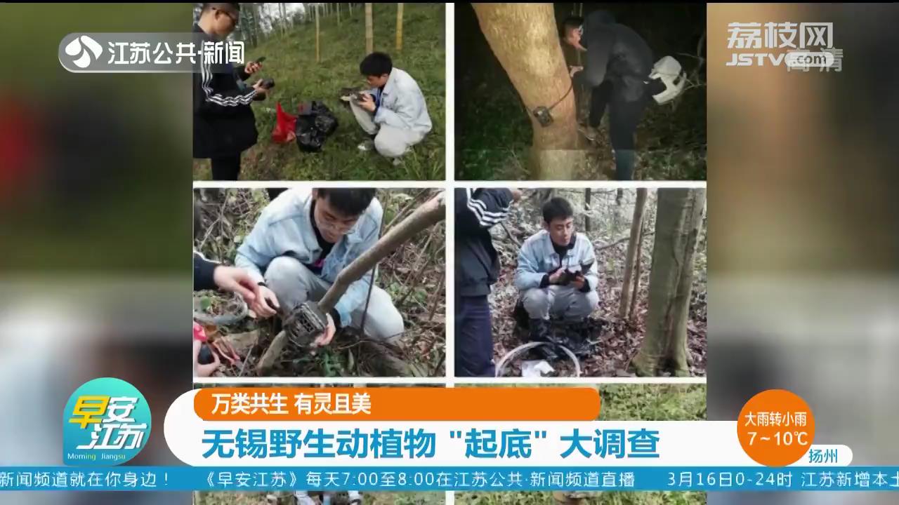 万类共生 有灵且美 无锡野生动植物“起底”大调查