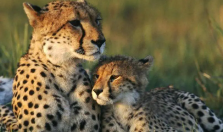 故事：湖南一女大学生精神失常，甘愿与50岁拾荒者生子，母亲崩溃