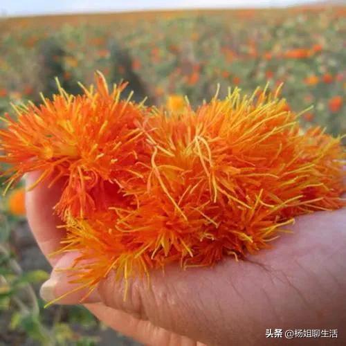 太尴尬了，原以为藏红花不贵，财大气粗要一公斤，谁料要70000块