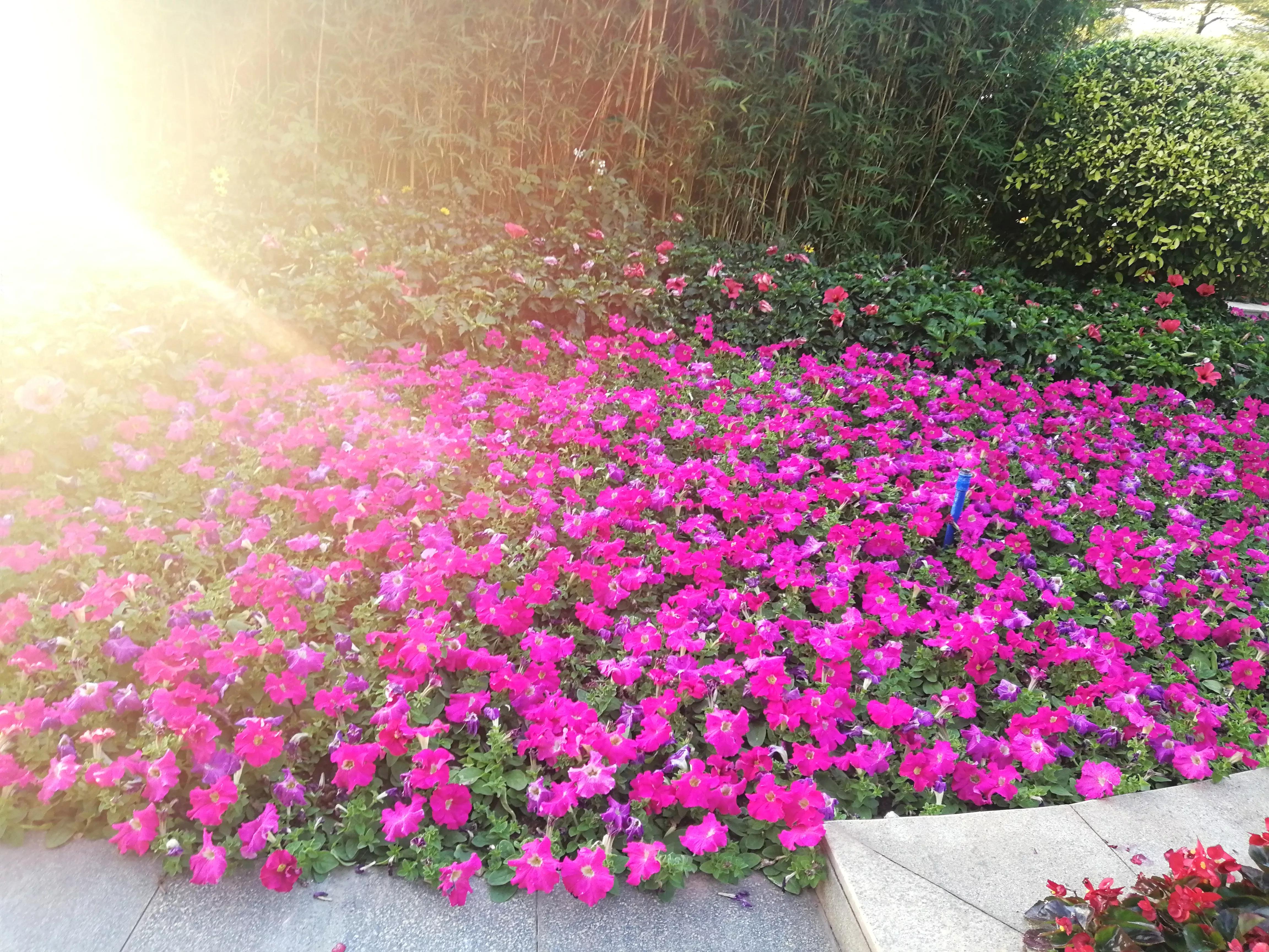 地铁4号线大学城游玩攻略，领略那不一样的广州大学城风光（C篇）