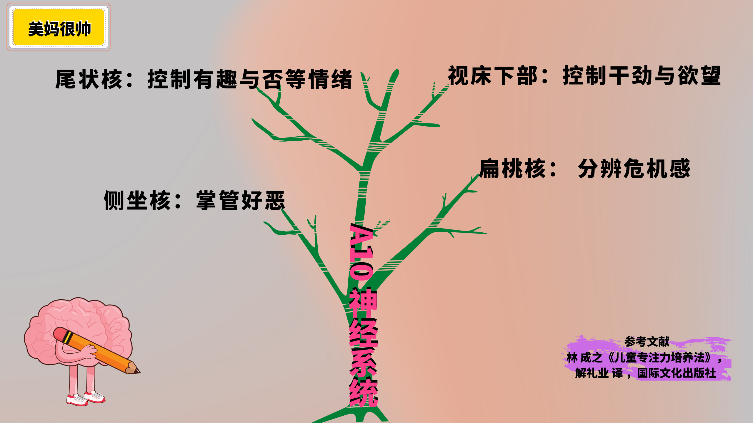 学霸的专注力怎么来的？知道大脑是如何产生专注力后，我恍然大悟