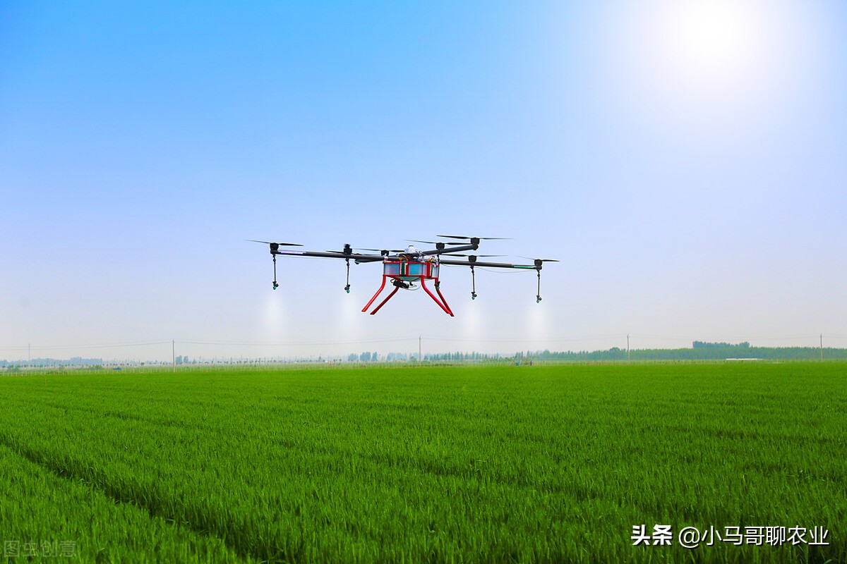 使用无人机打药比较多的人群大约有三类,一是上班族,二是包地大户,三