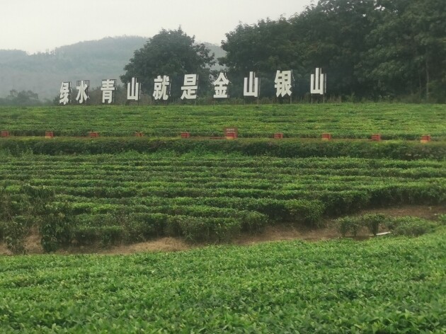 河北省民營經(jīng)濟(jì)發(fā)展促進(jìn)會領(lǐng)導(dǎo)在瓊調(diào)研康養(yǎng)產(chǎn)業(yè)項(xiàng)目