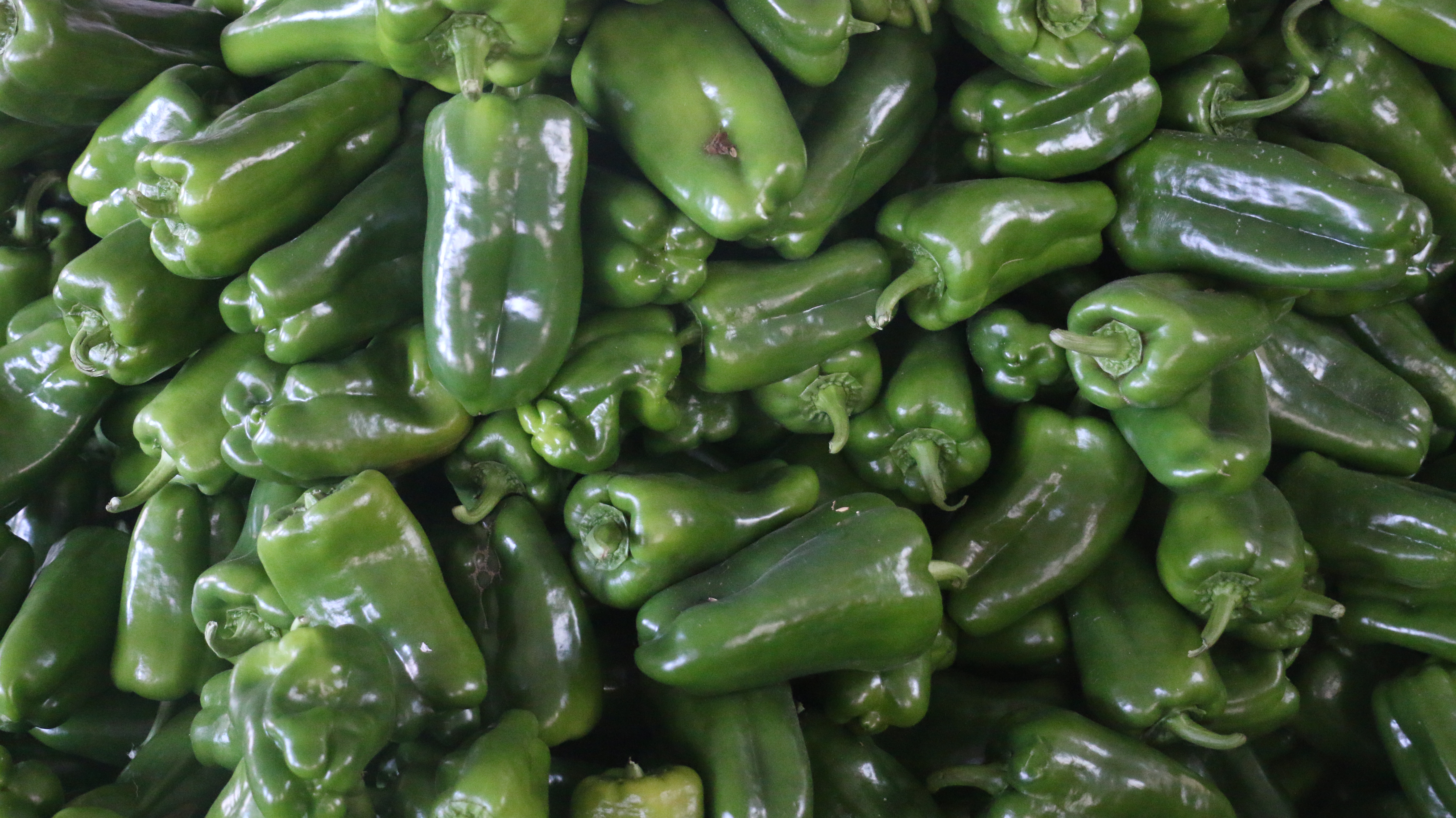 来自大自然的绿色无公害蔬菜