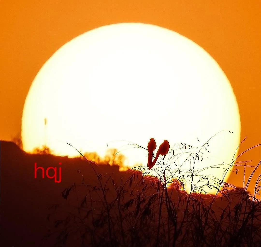 一对情侣，在夕阳下的对话