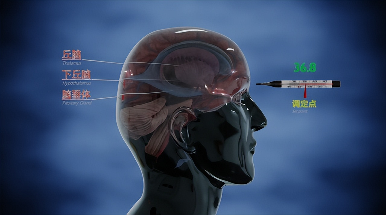 美国研究：37℃不再是人体标准体温？体温是低了好，还是高了好？