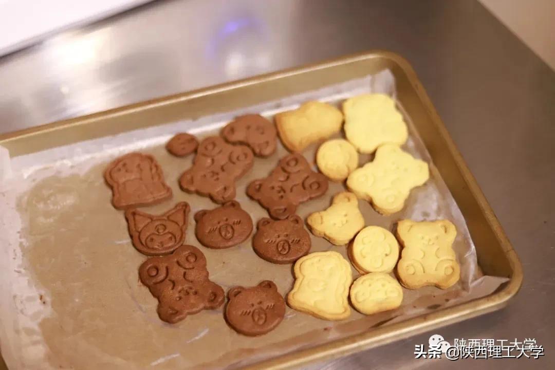 欢迎报考丨我们在陕西理工大学等你