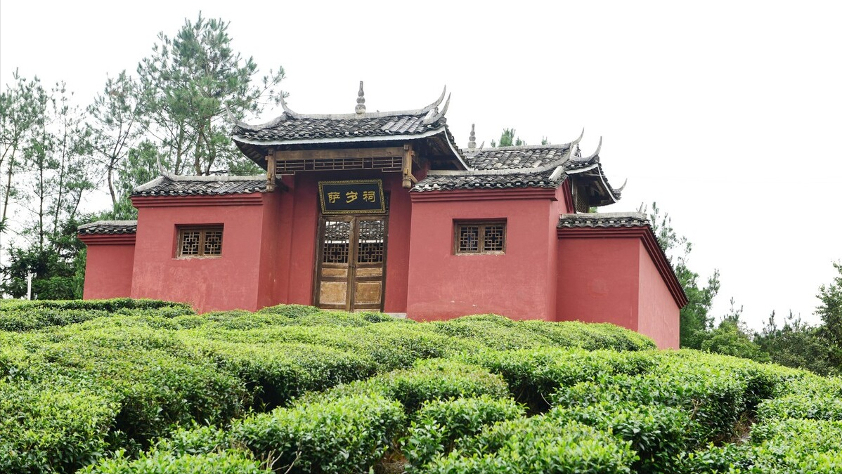 细思极恐的恐怖段子