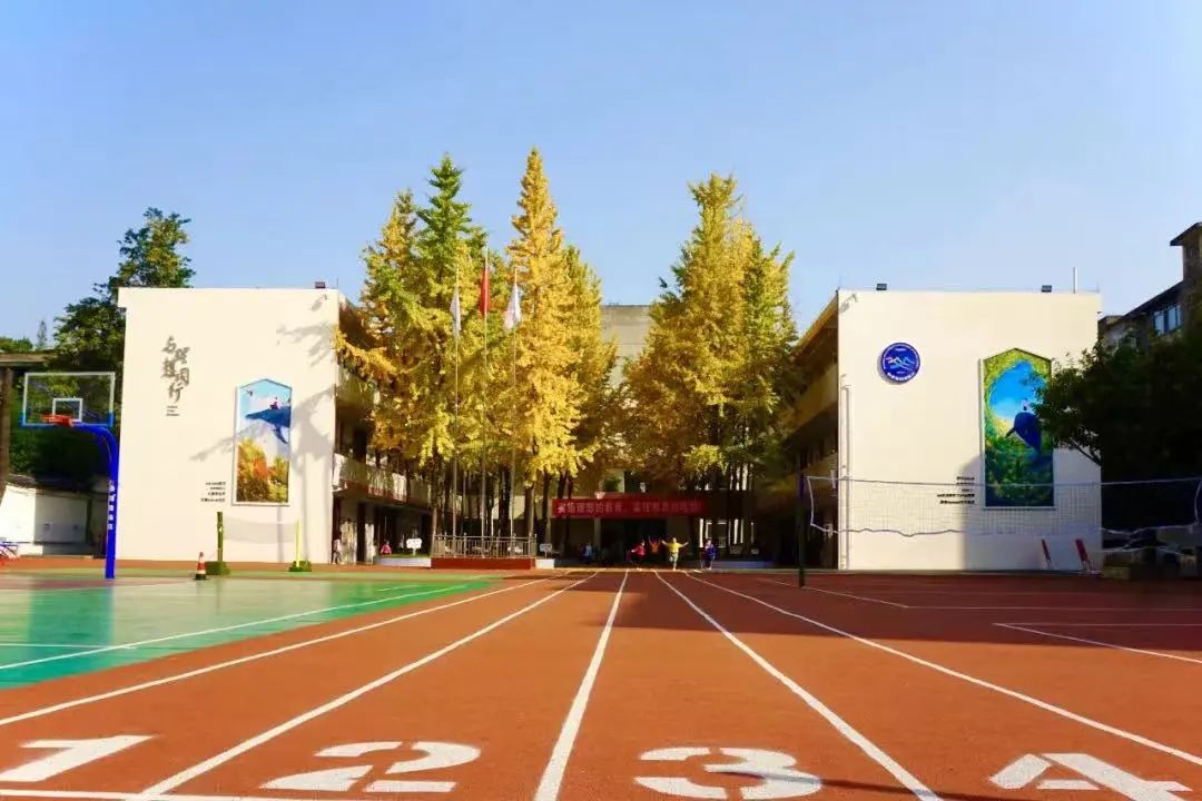 「盘点」在成都多达17所“教科院”系学校，到底香不香？