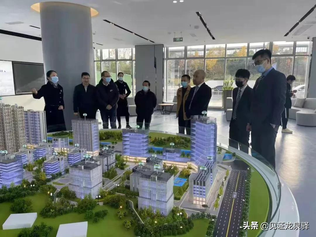 聚焦招商｜第一站：大面——全域开放 全力攻坚 全面提升