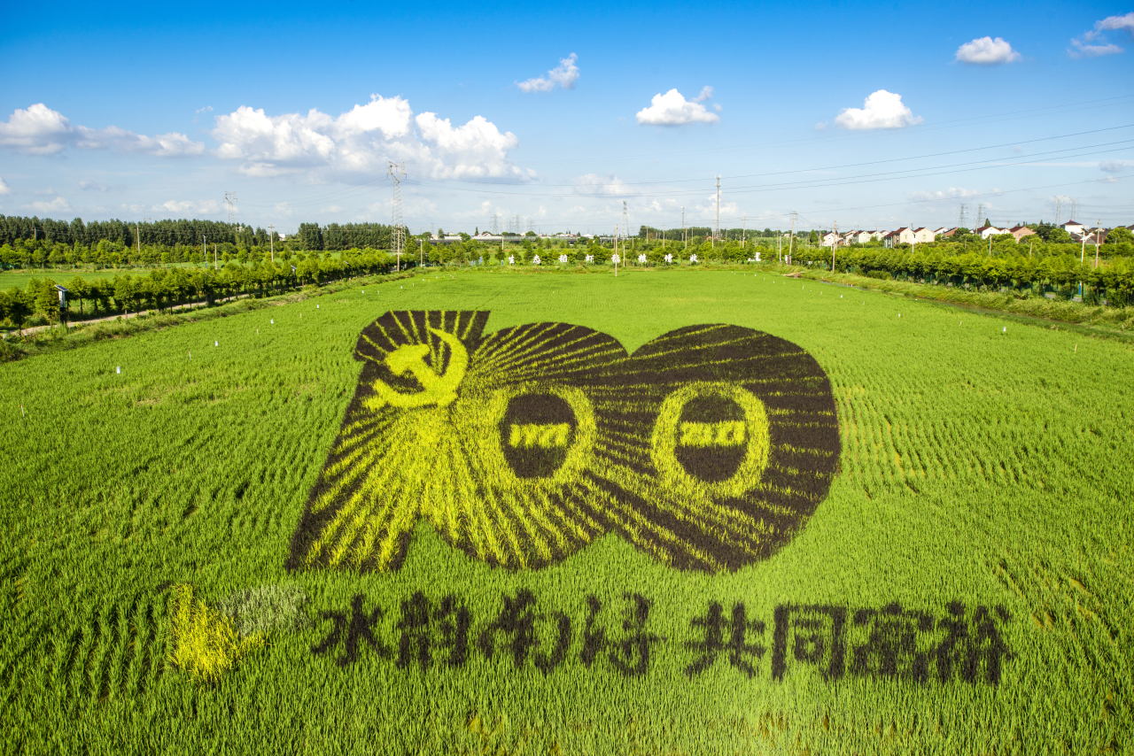 有一说一话共富①丨一亩稻虾田又有了“新玩法”