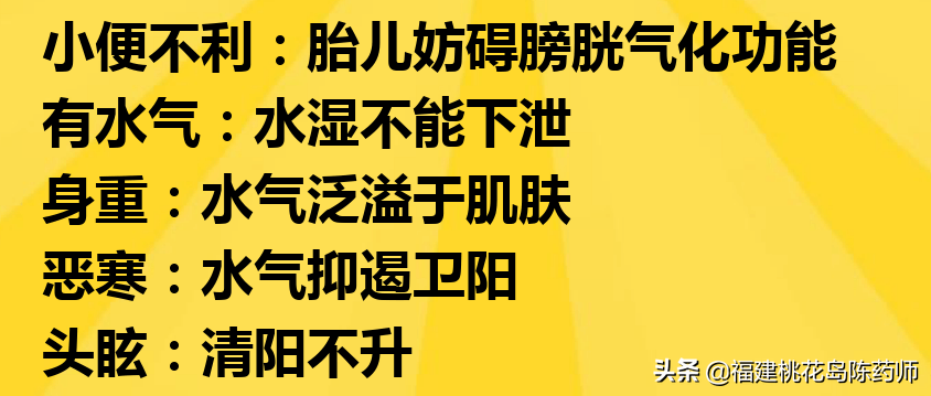 《金匮要略》——妇人妊娠病脉证并治第二十学习要点