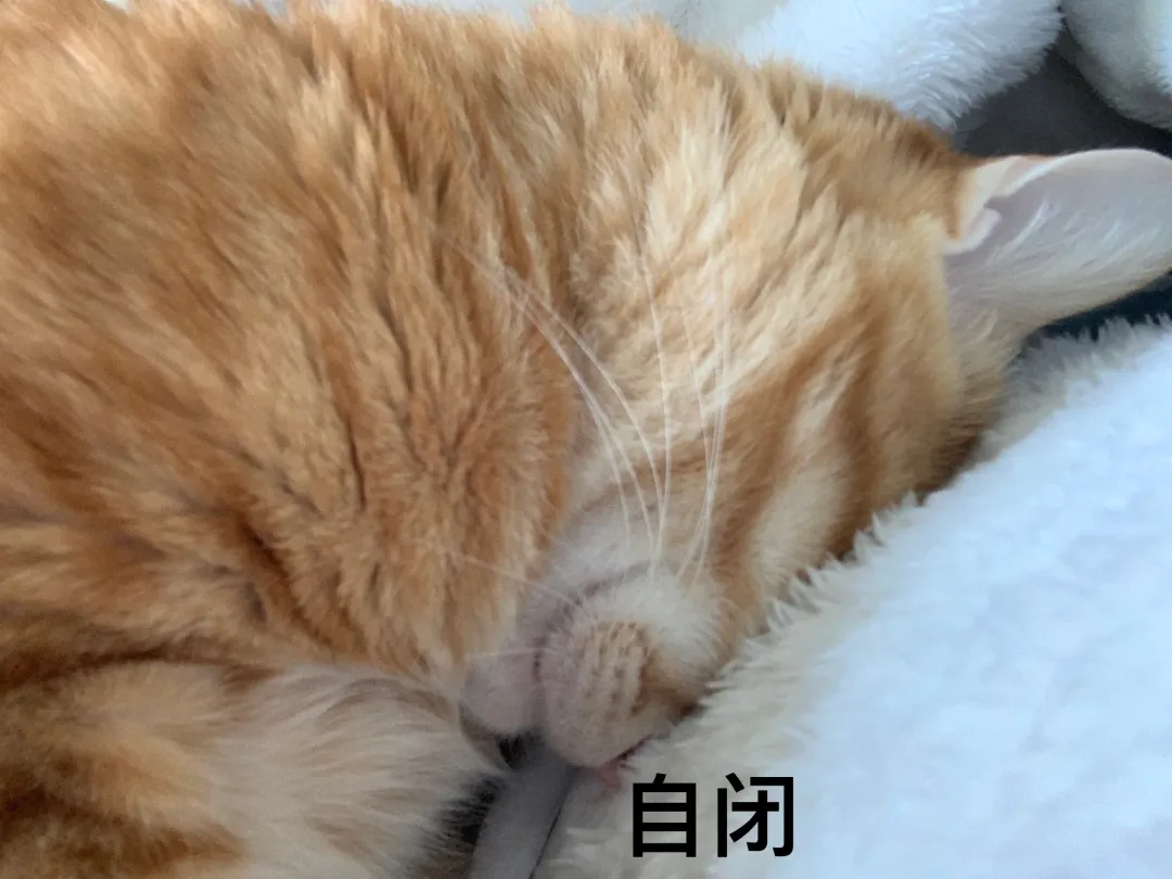 2124元/月!如果你在深圳失业了,记得去领这笔钱
