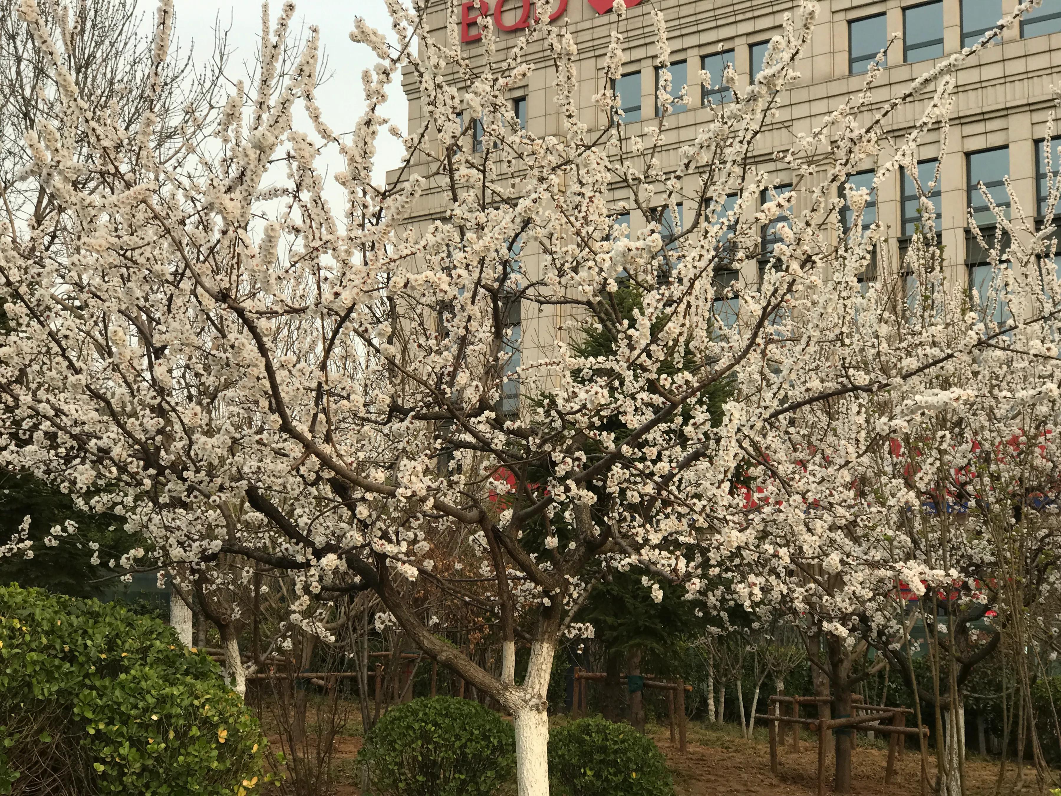 “只生欢喜不生愁”日有所得，日有所悟3月16日