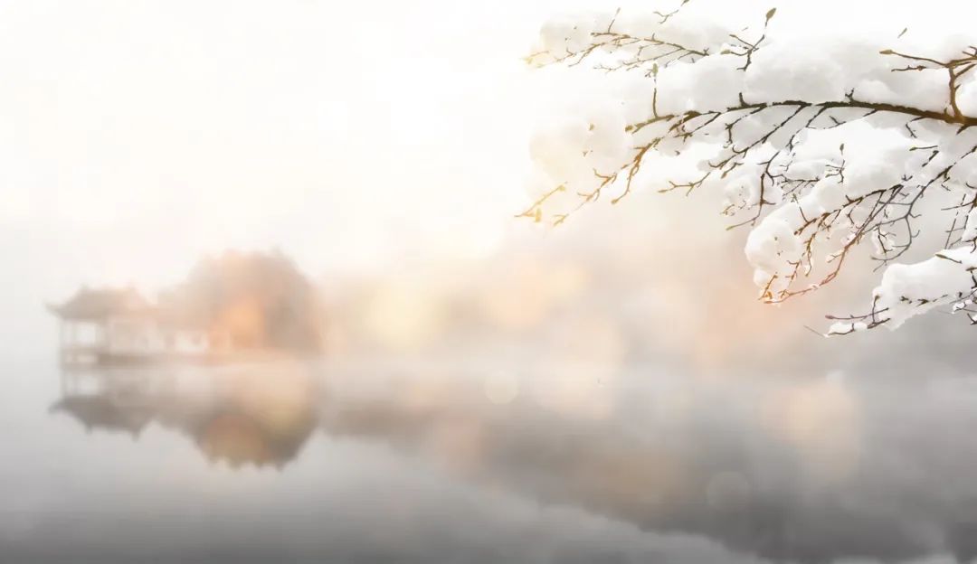 漫天飞雪的诗句（分享10首描写雪景的最美诗词）