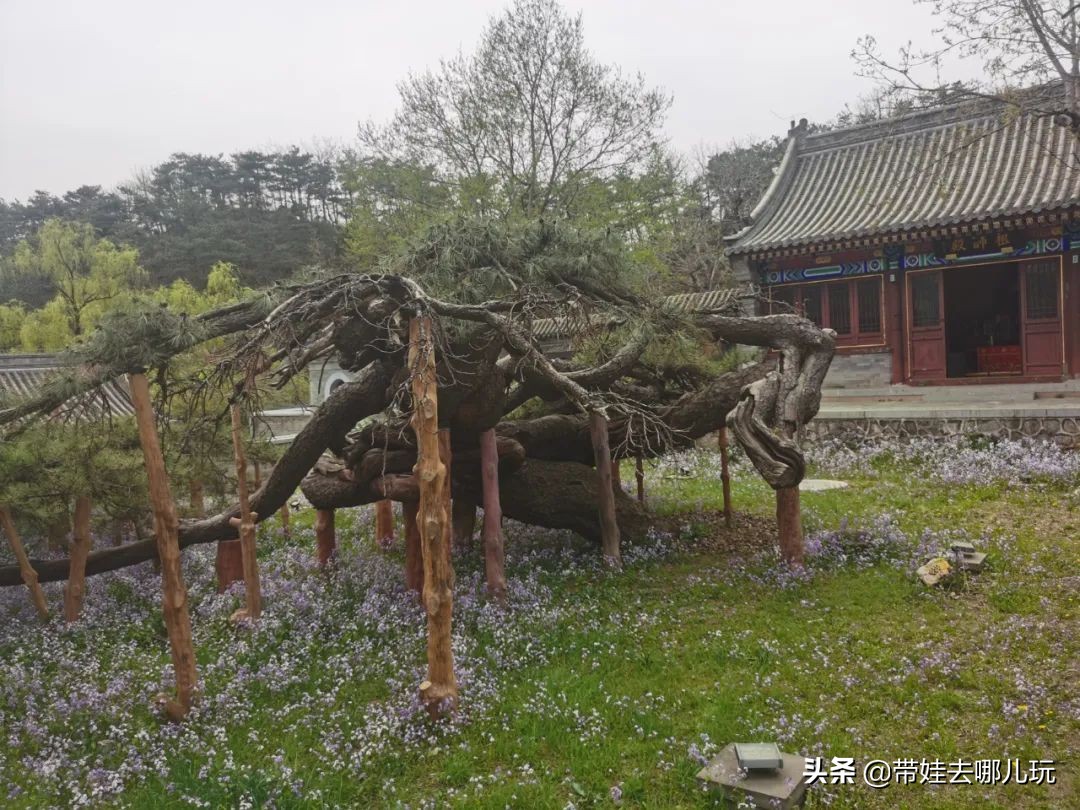 昌平旅游景点（昌平免费景区的环山步道游览推荐）