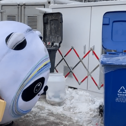 冰墩墩名场面可爱集