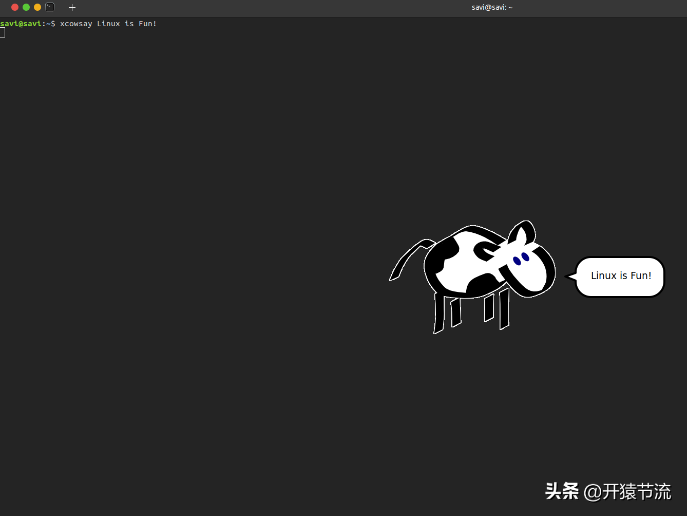 在终端上玩得开心的 Linux 命令