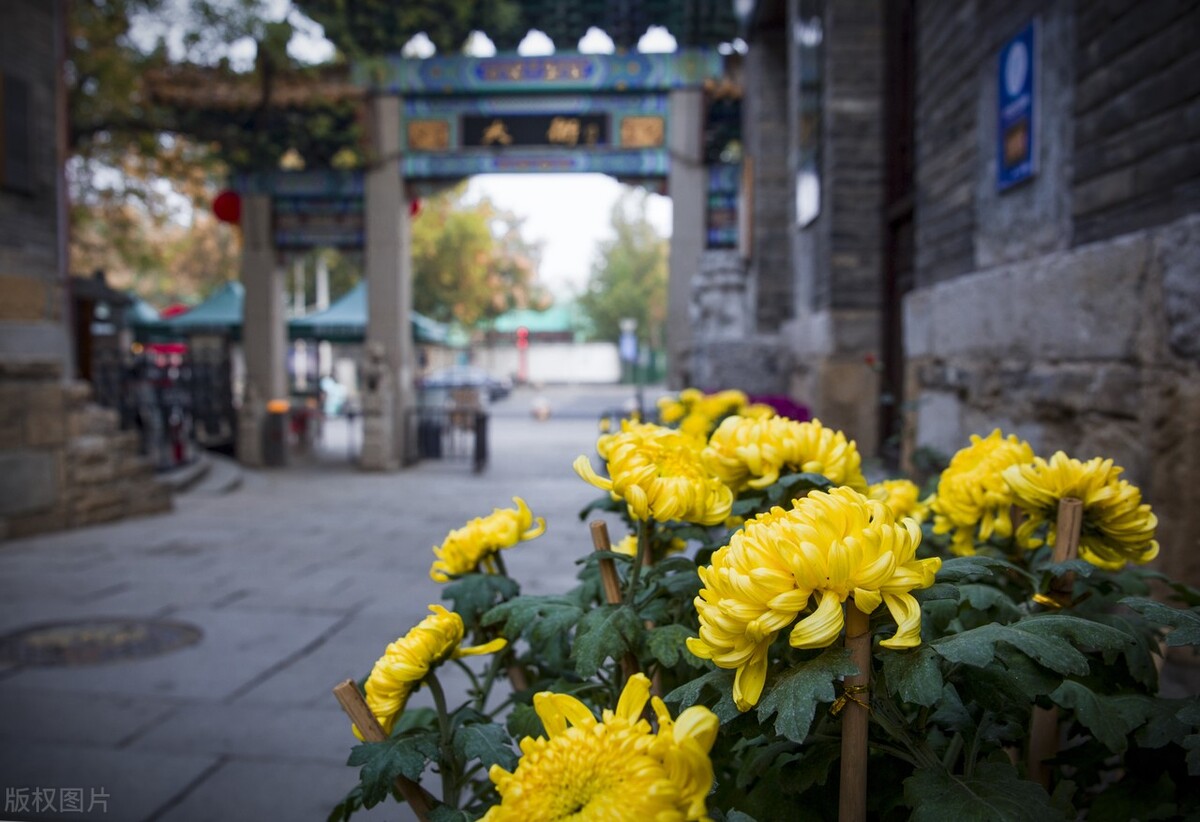 山东400分左右的学生适合什么大学？分享5所，并奉上收分数据