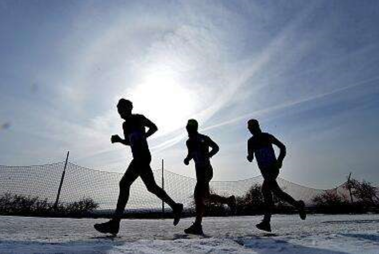 这6所大学“当官”的概率高，文科理科都有机会，高薪又稳定