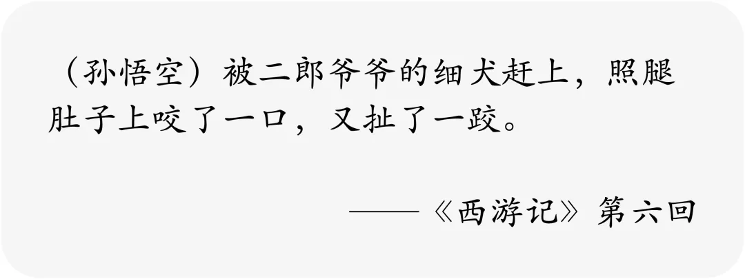 没错,哮天犬正是一条纯白色的中国细犬