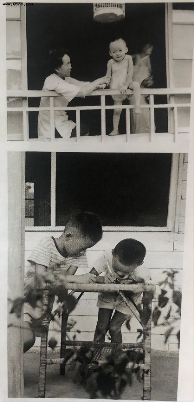 周星驰和杨德昌，说说成就电影大师的那点“臭脾气”