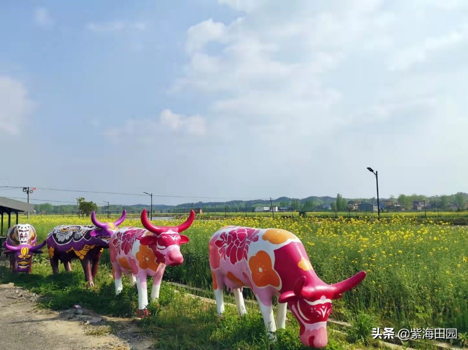 过年想好去哪玩了没，湖北周边春节必去景点