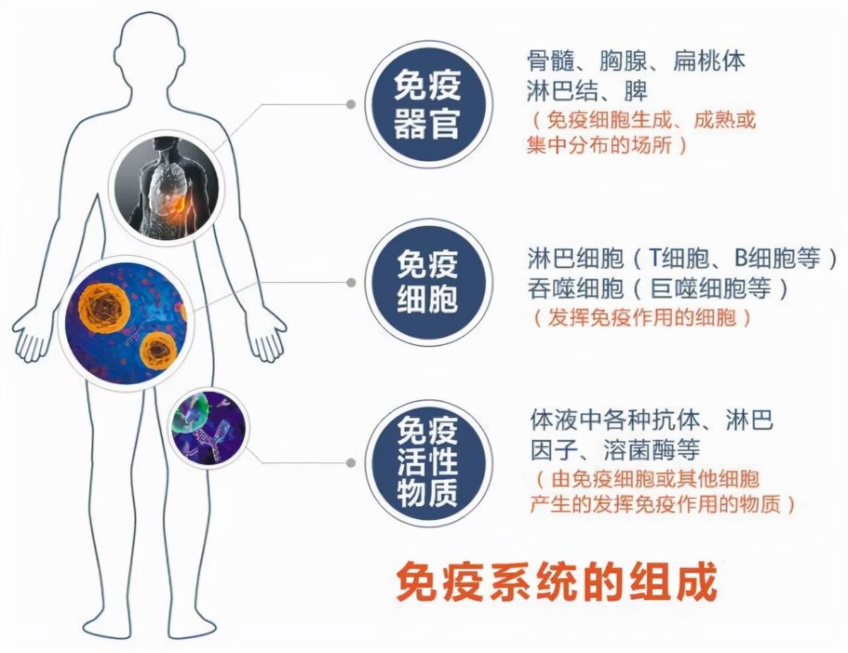 地球上的万物相生相克，为何没听说过病毒的天敌？病毒怕什么？