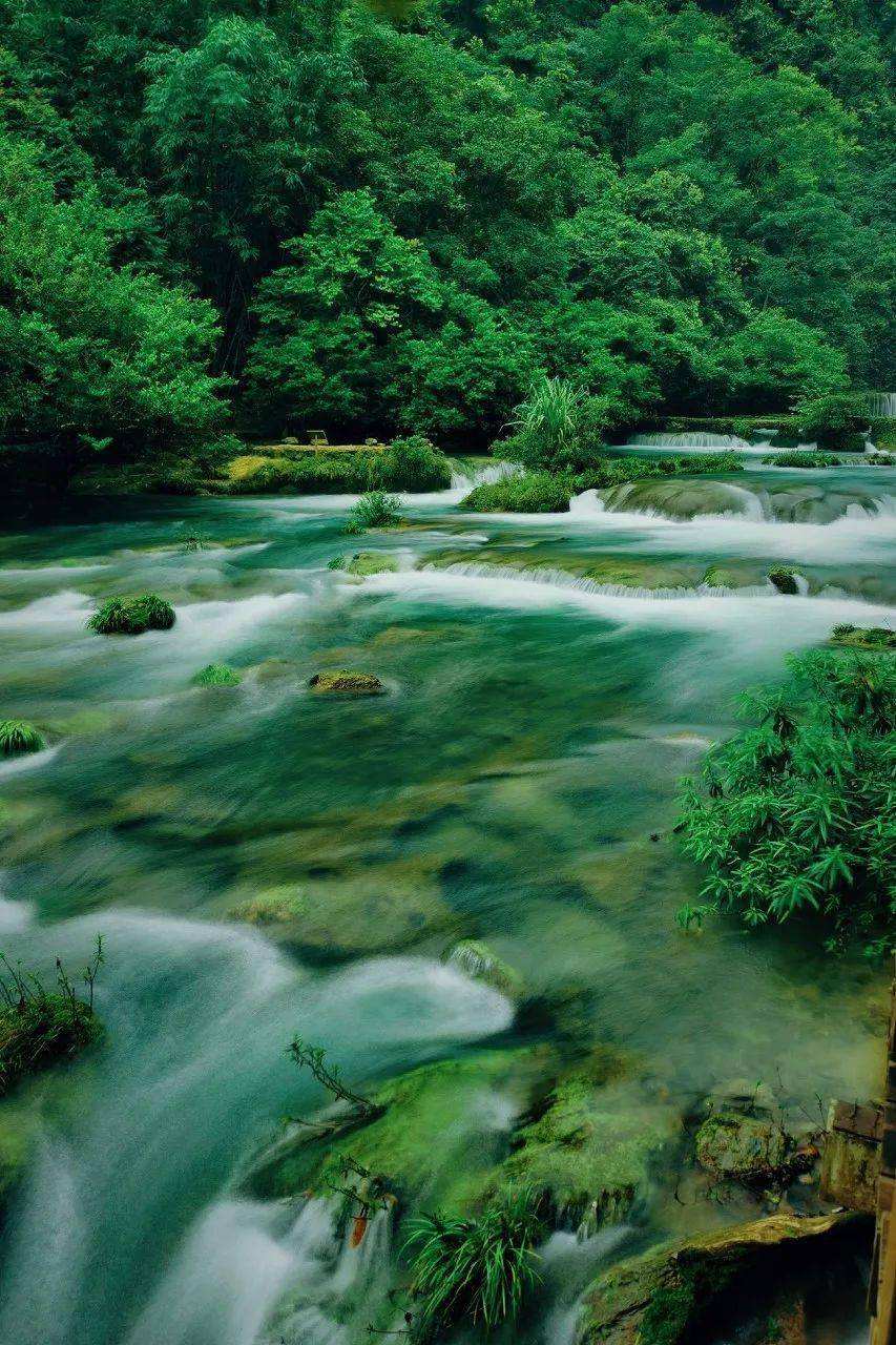 在山海经中，作为上古五大创世神之一，鼓究竟是善神还是恶神？