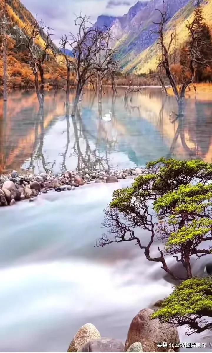 山水，让山与水交融，让灵动与沉稳结合，让智者与仁者相辅相成