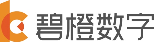 2021国内十大电商代运营公司排名宝尊碧橙数字青木科技等位居前列