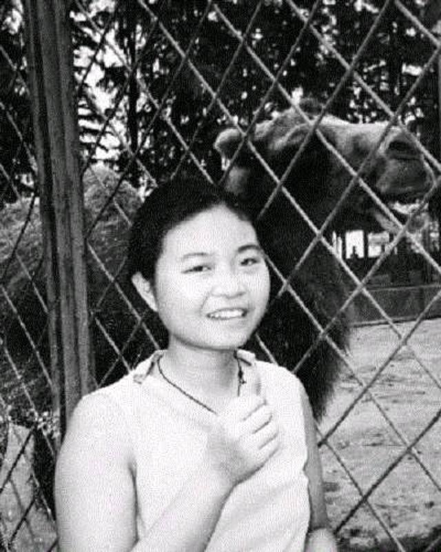 2009年，上海女硕士带母求学被拒自杀，校方回应：可赔偿，不道歉