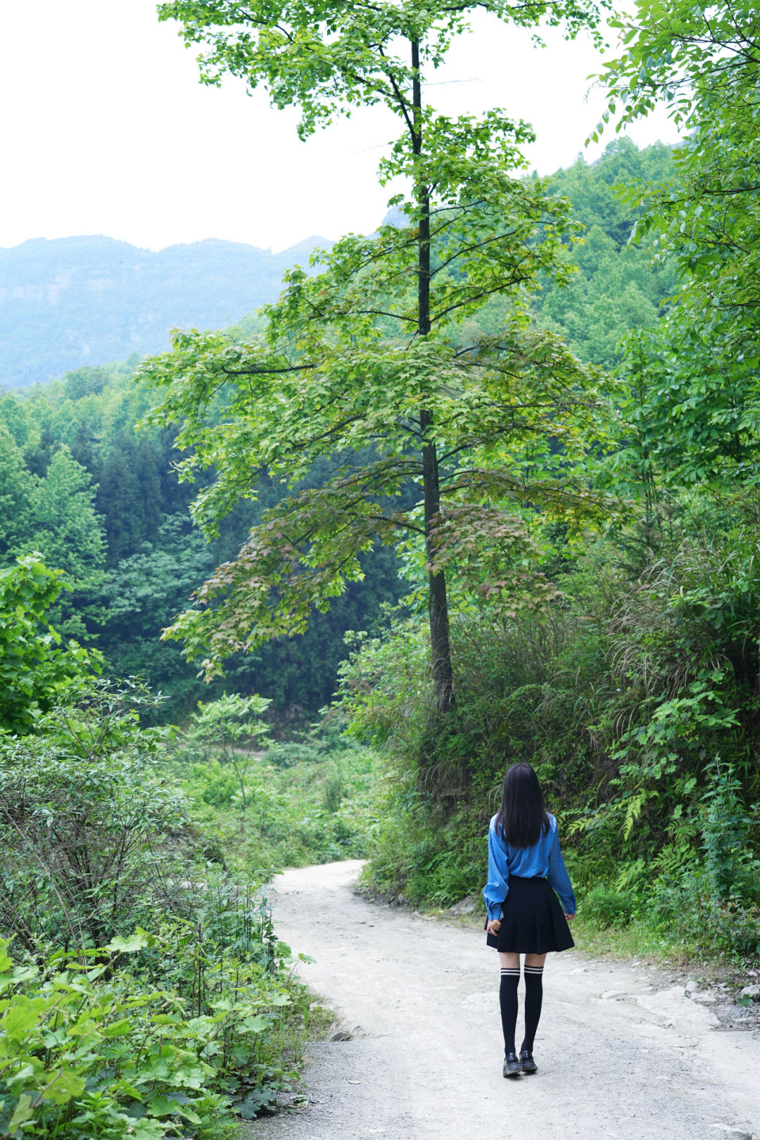全程景点无门票！重庆这条178公里自驾公路，自驾爱好者必打卡！