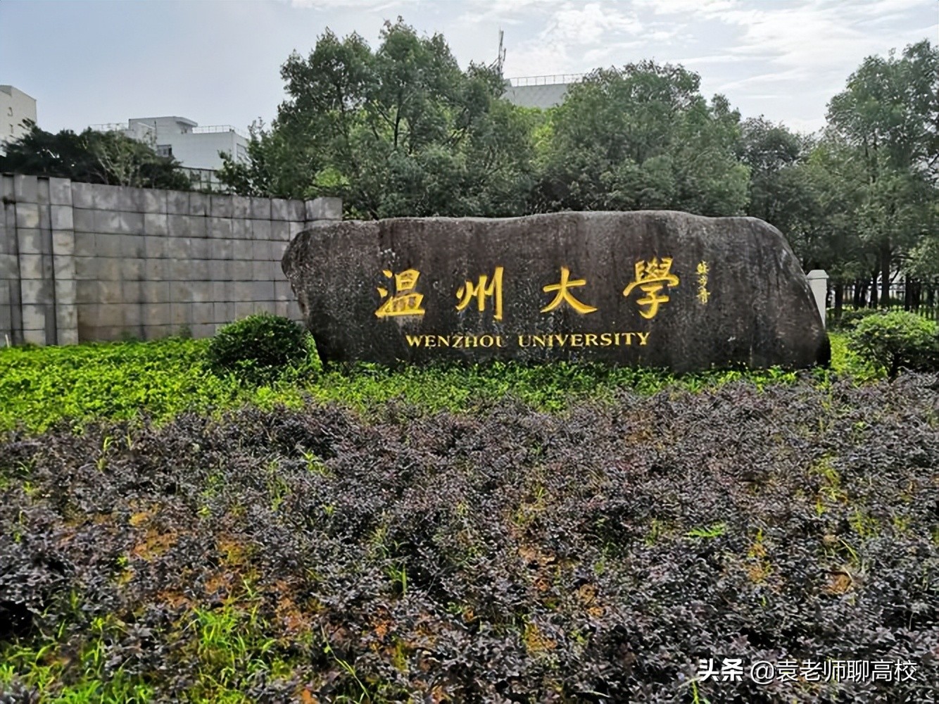 宁波大学与温州大学，浙江省两所沿海知名院校，哪个实力更强？