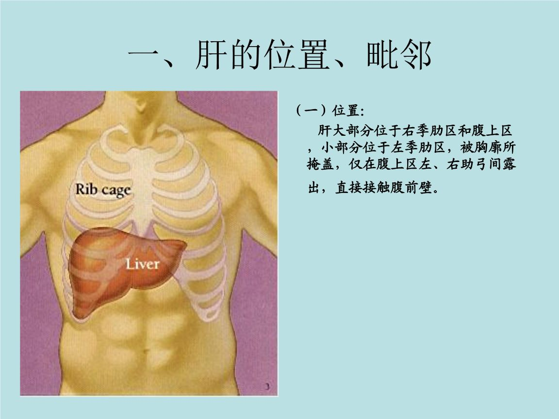 肝区疼痛,不适,可能是这5种情况!该做什么检查?医生告诉你