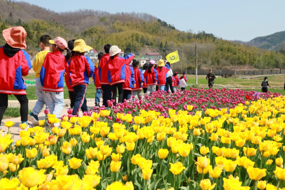 传承红色基因丨固始县永和实验小学西九华山研学活动圆满举办