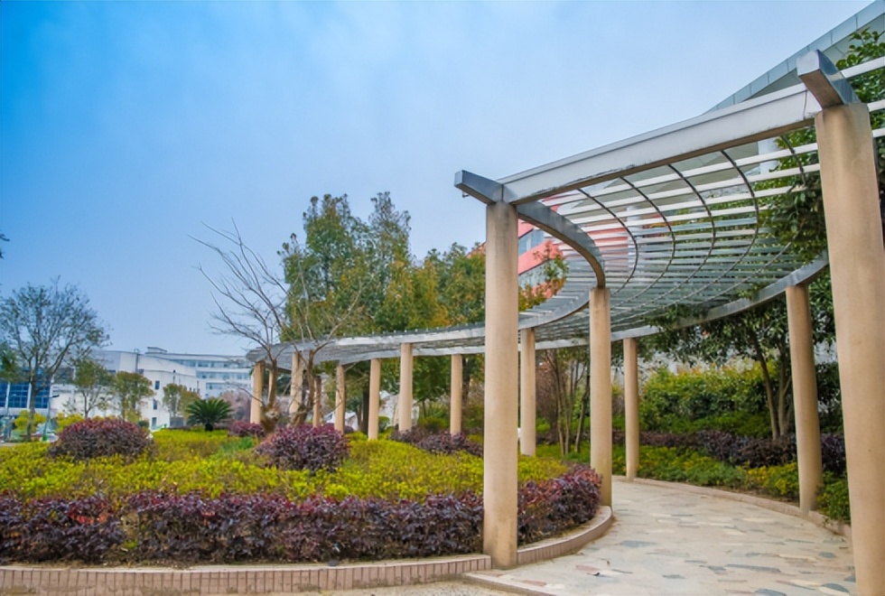 上榜中国一流专业，就业率达到99%！湖北高校“超火”专业来了