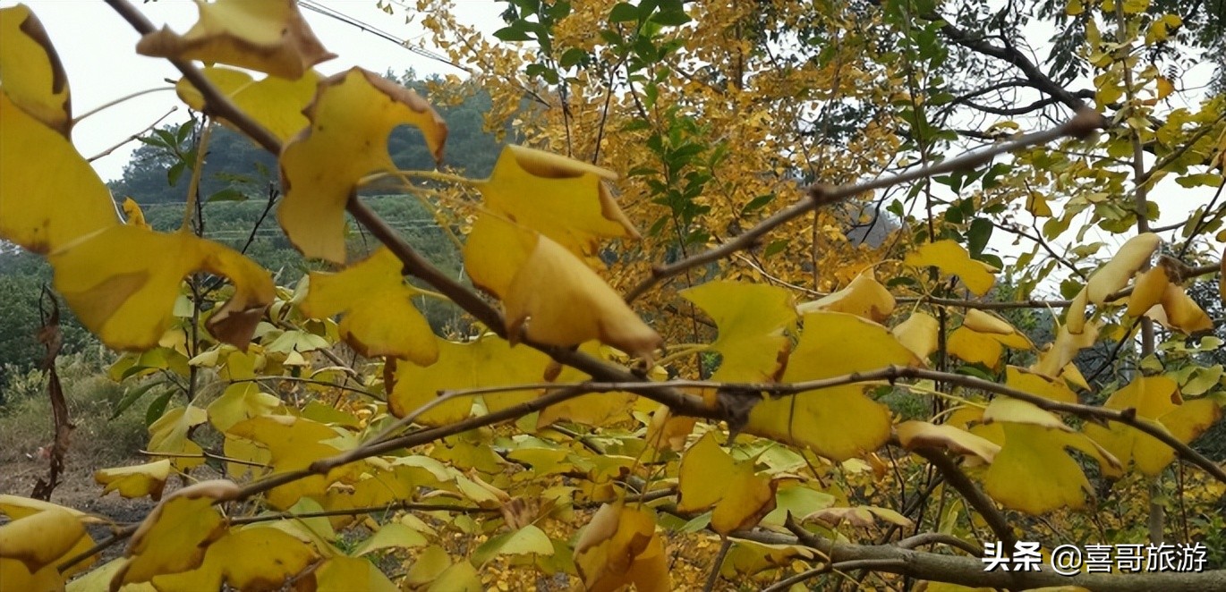 广西桂林市灵川县十大景区有哪些？自驾游如何安排行程？