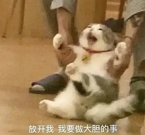 没得游戏玩了？看这里！最受玩家欢迎的好玩游戏合集
