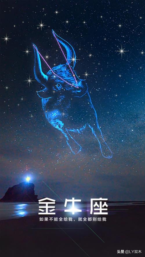 十二星座缺点都有哪些？